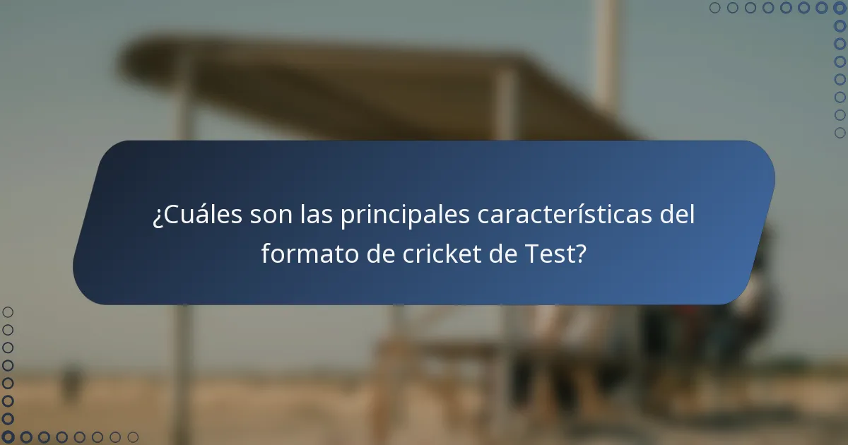 ¿Cuáles son las principales características del formato de cricket de Test?