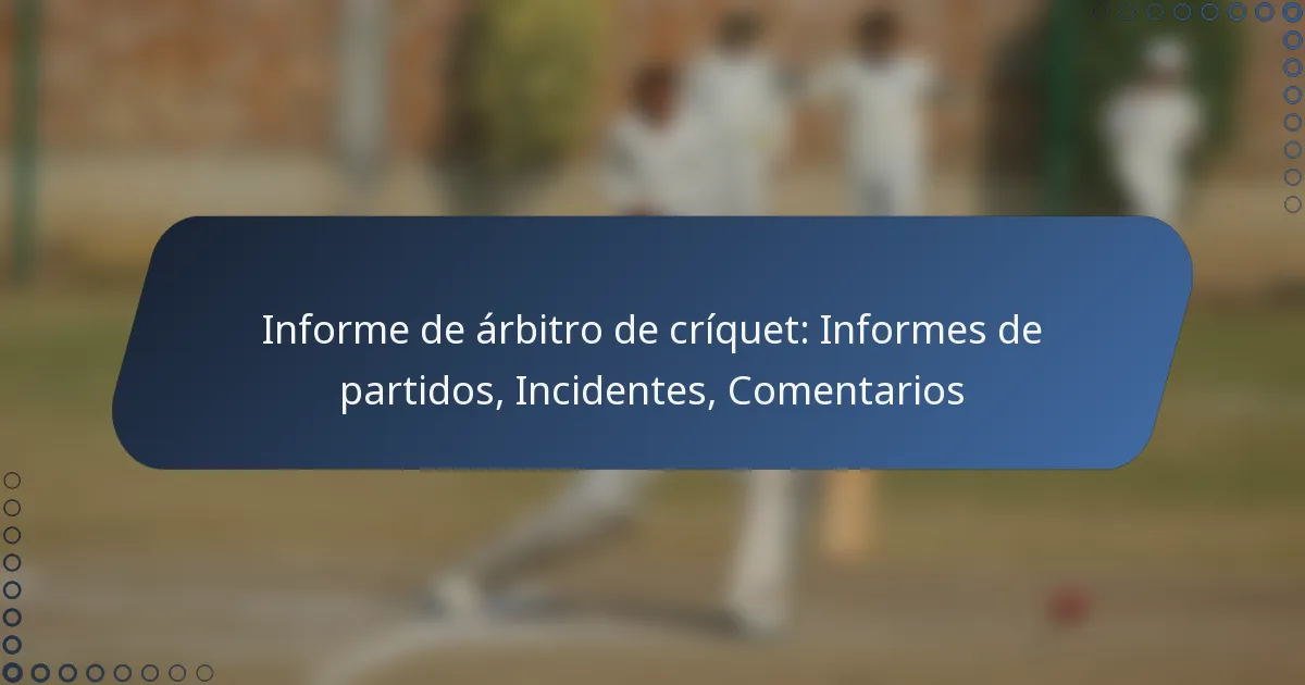 Informe de árbitro de críquet: Informes de partidos, Incidentes, Comentarios