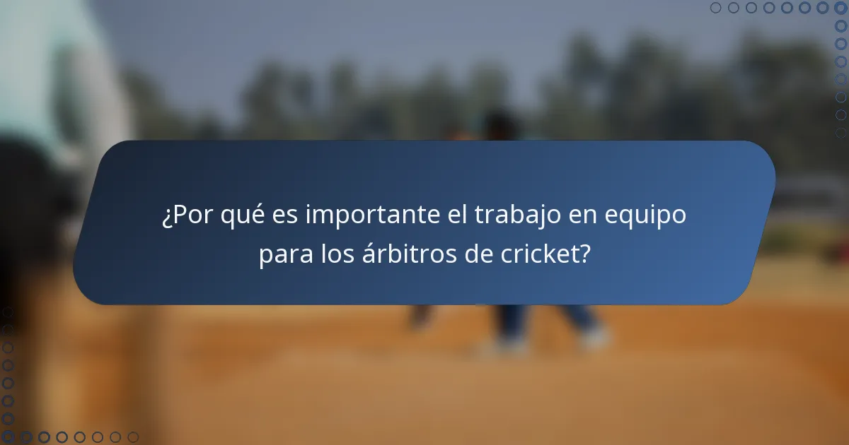 ¿Por qué es importante el trabajo en equipo para los árbitros de cricket?